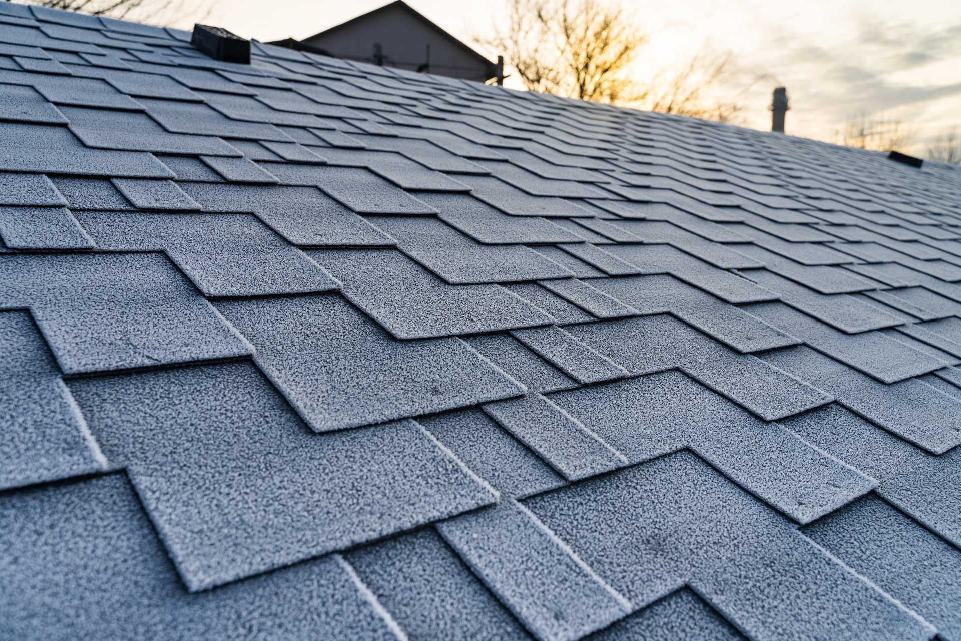 Which Roof Lasts Longer Metal or Shingles
